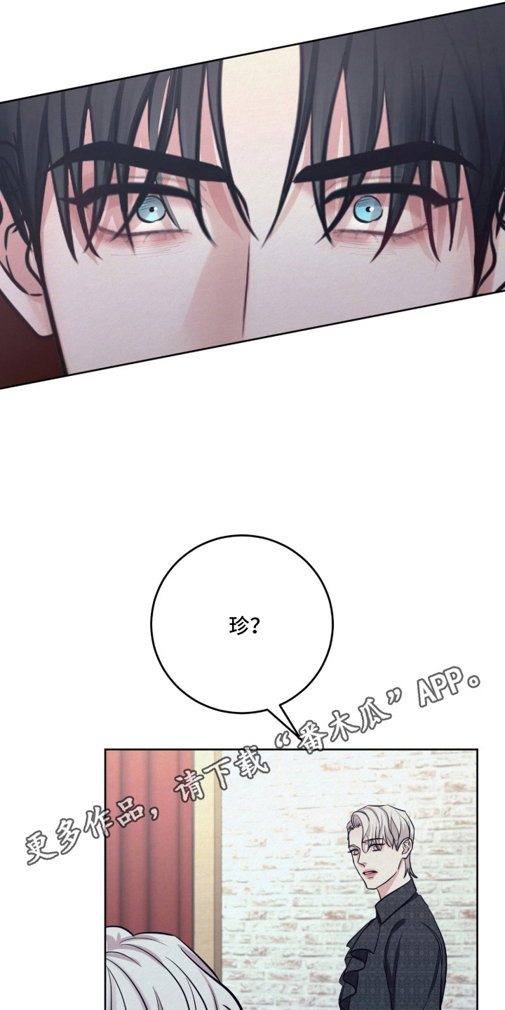 笼中舞漫画,第13章：一模一样1图