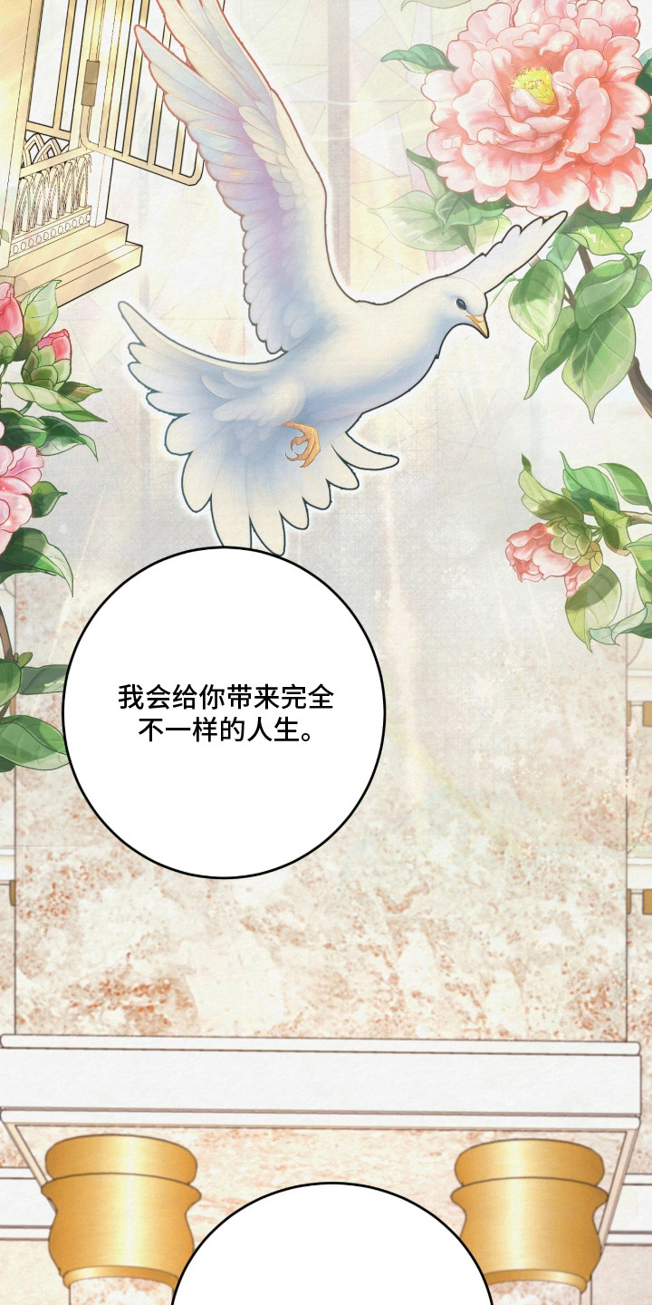 笼中舞漫画,第10章：展示品4图
