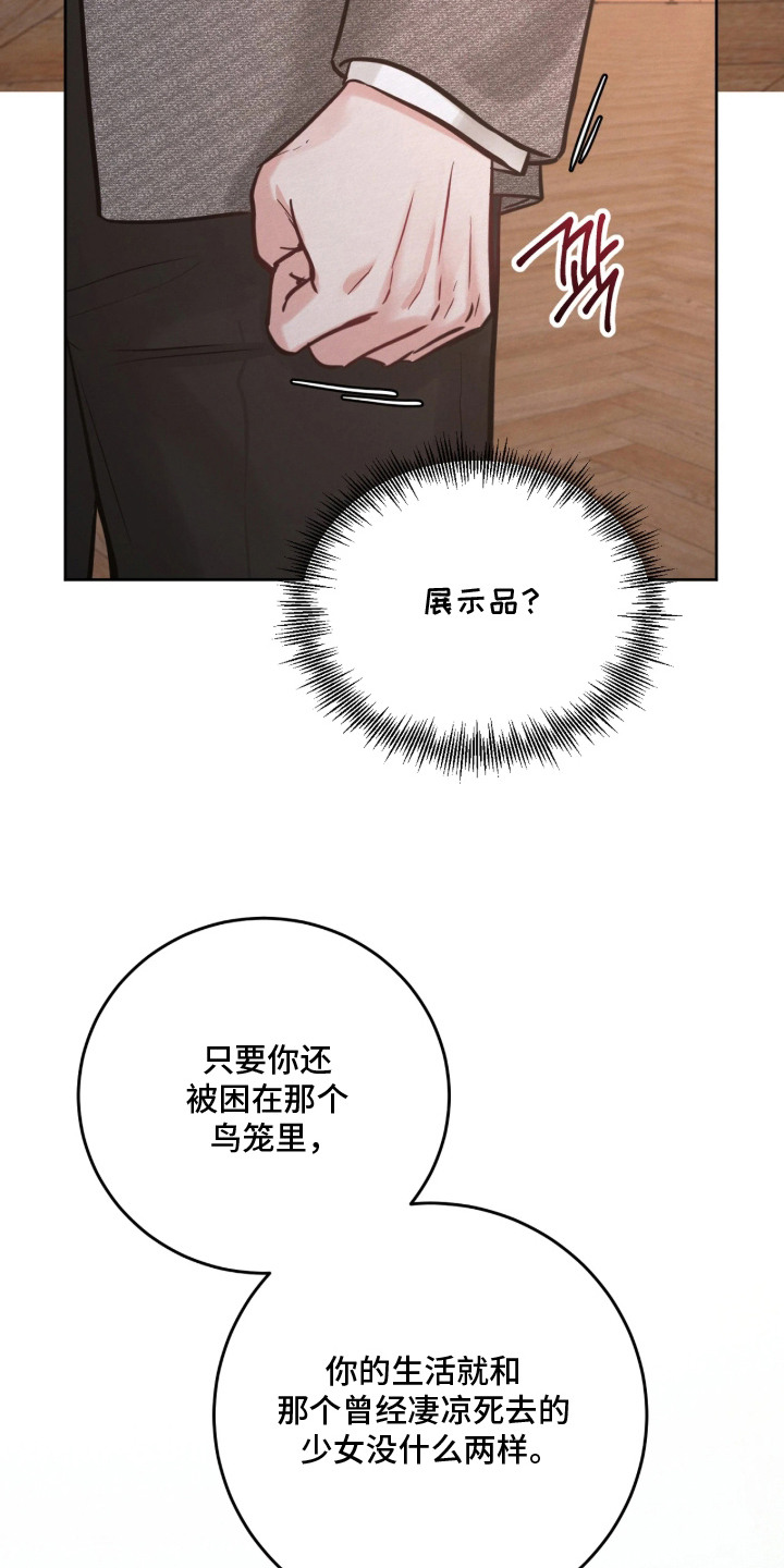 笼中舞漫画,第10章：展示品2图