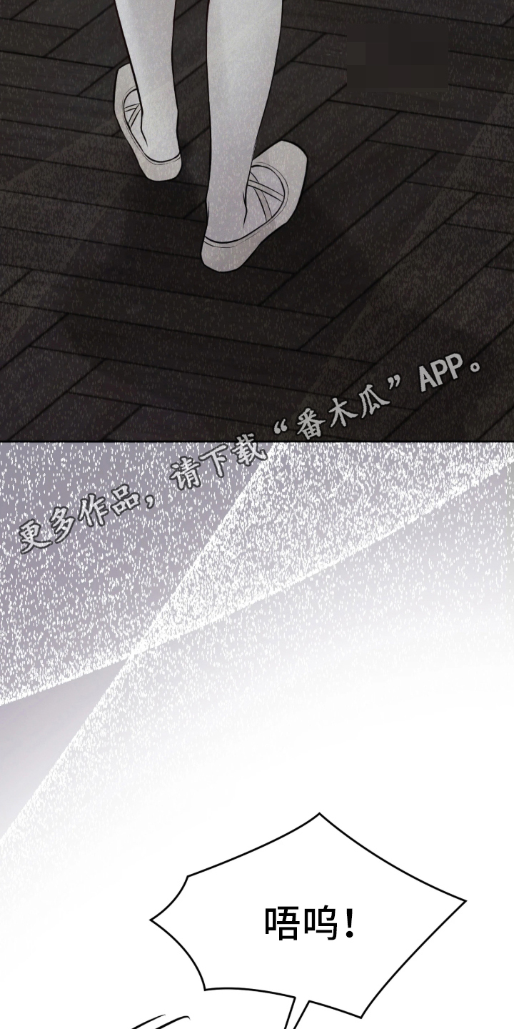 笼中舞漫画,第2章：混为一谈4图