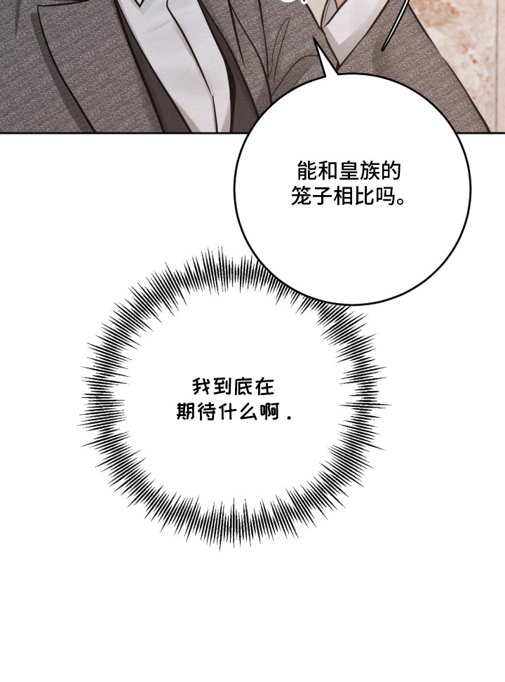笼中舞漫画,第10章：展示品4图