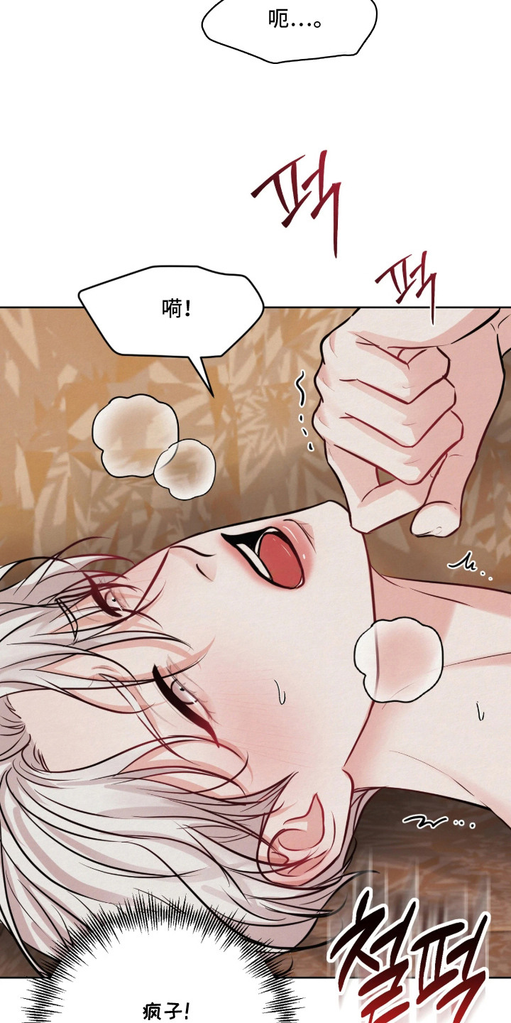 笼中舞漫画,第8章：疯子4图