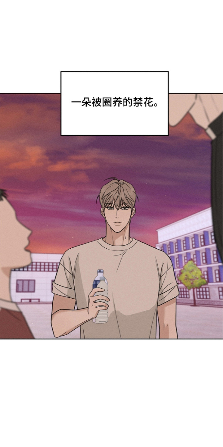 罪爱天堂漫画,第13章：圈养的禁花1图