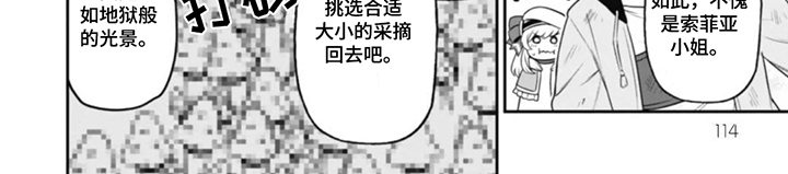 团体破坏者漫画,第11章：巨田鸟菇3图