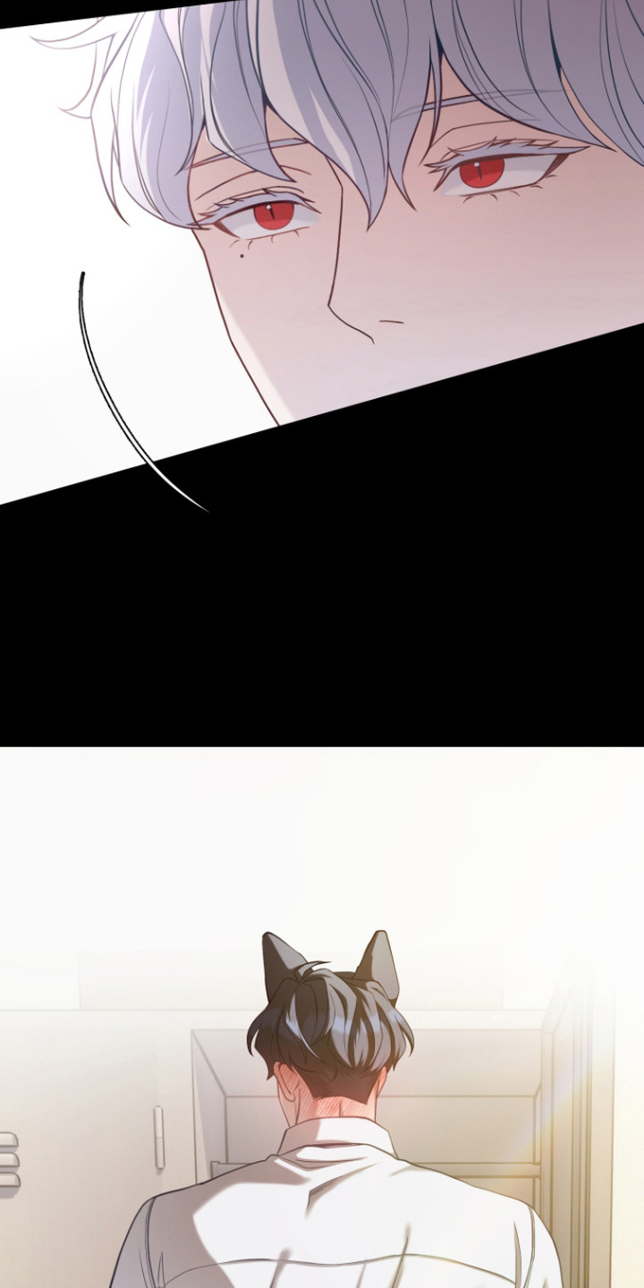 珠锁狐心漫画,第4章：吓一跳2图