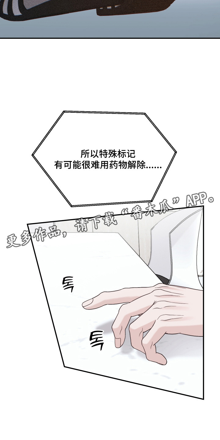 珠锁狐心角色分析漫画,第10章：大肆宣传4图