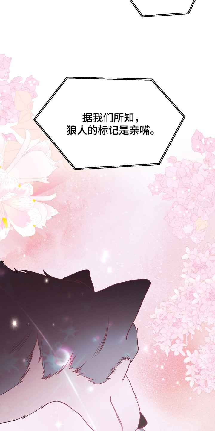 珠锁狐心角色分析漫画,第10章：大肆宣传4图