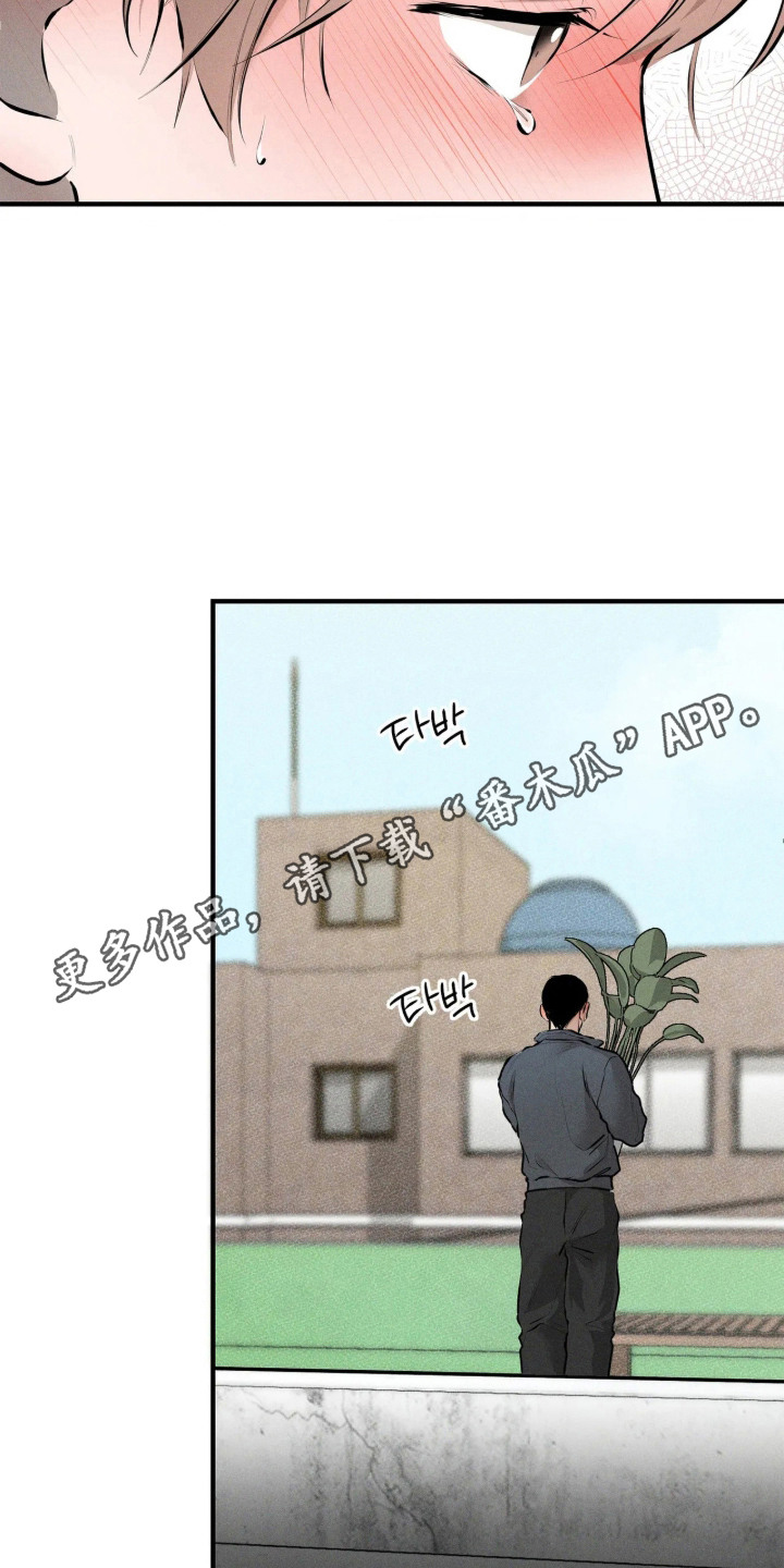 窗间妄想漫画,第11章：糟糕透了1图