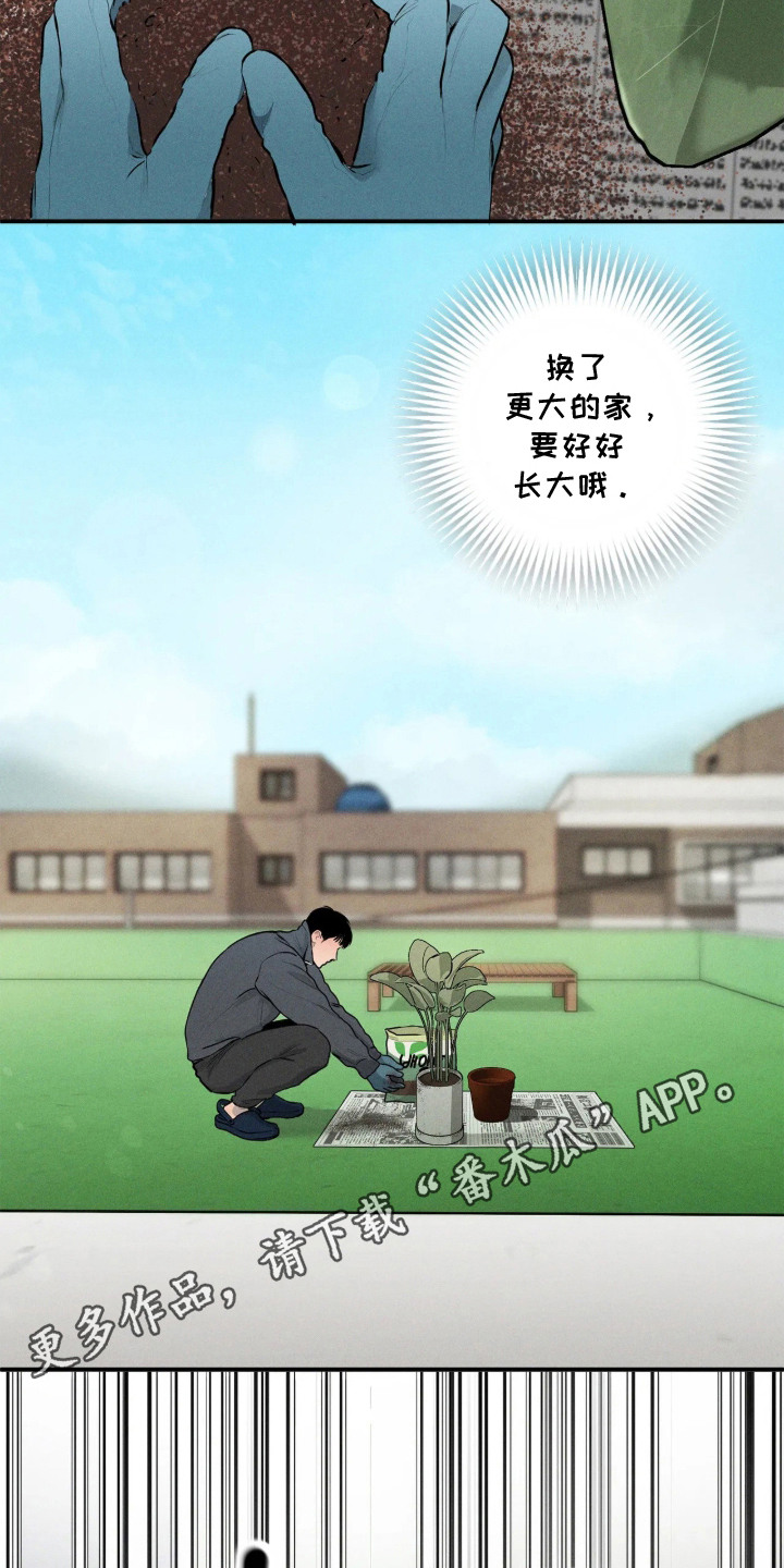 窗间妄想漫画,第9章：对视1图