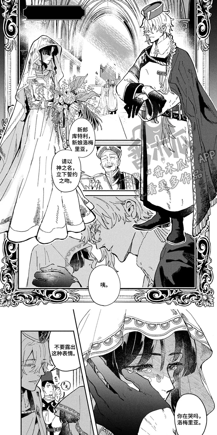 不死新郎与毒花漫画,第1章：忘乎所以1图