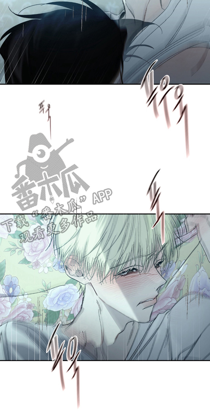 情债难逃漫画,第18章：黑卡2图