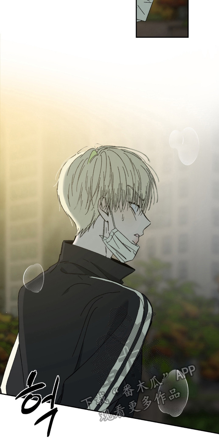情债难逃漫画,第9章：采访2图