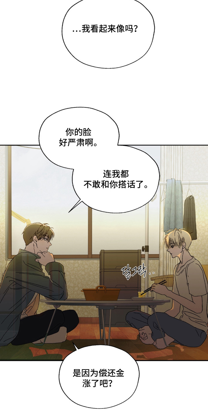 情债难逃漫画,第5章：教训3图