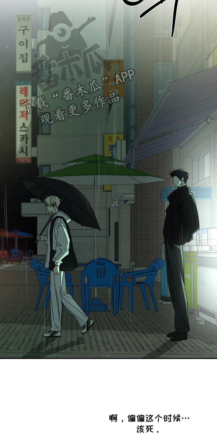 情债难逃漫画,第10章：一直跟着3图