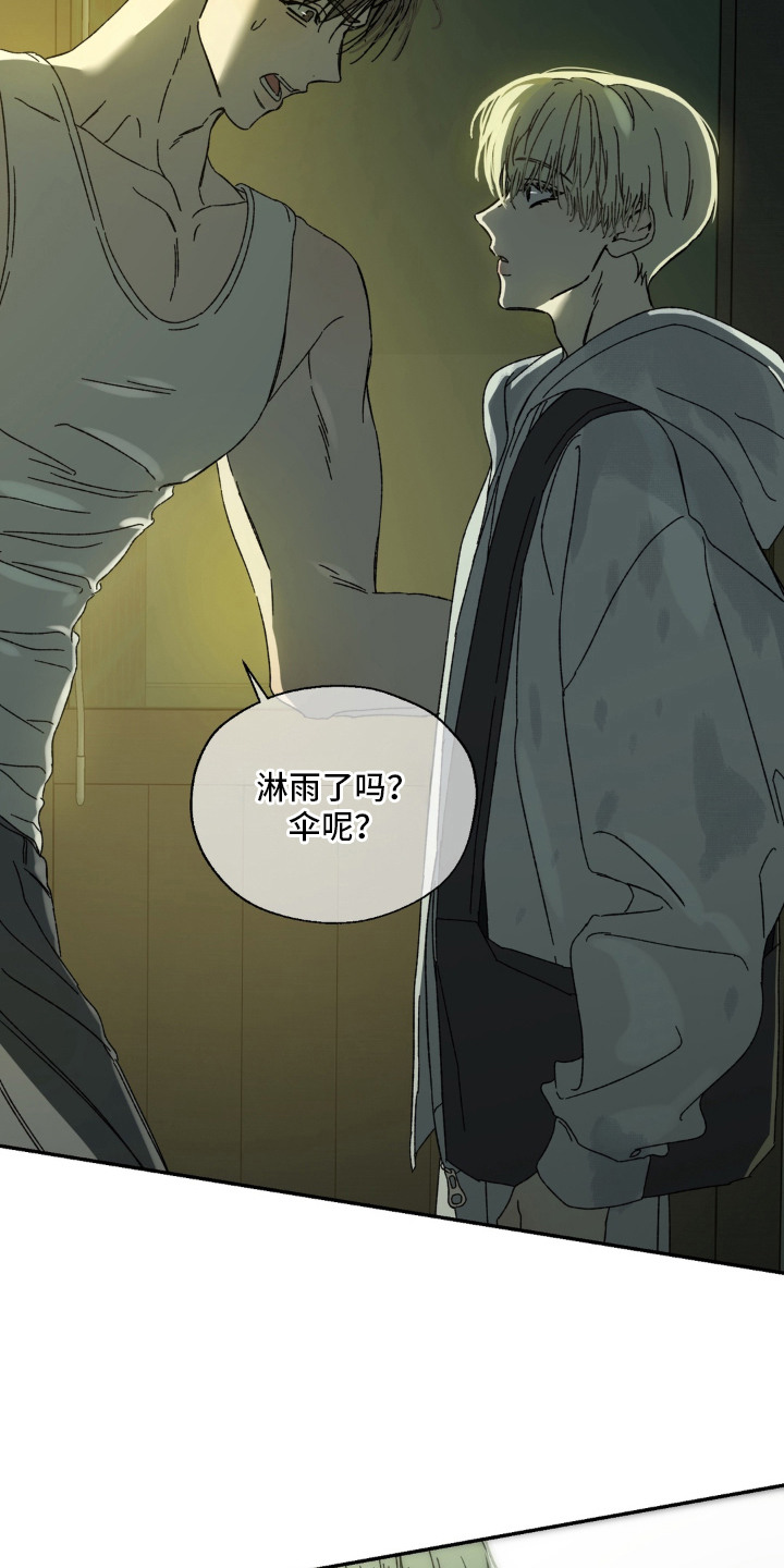 情债难逃漫画,第12章：资料4图