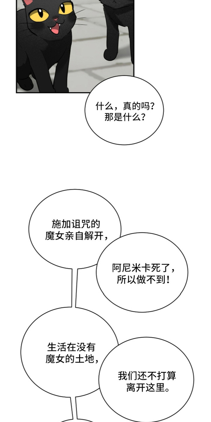 月夜誓言漫画,第14章：唯一选择2图