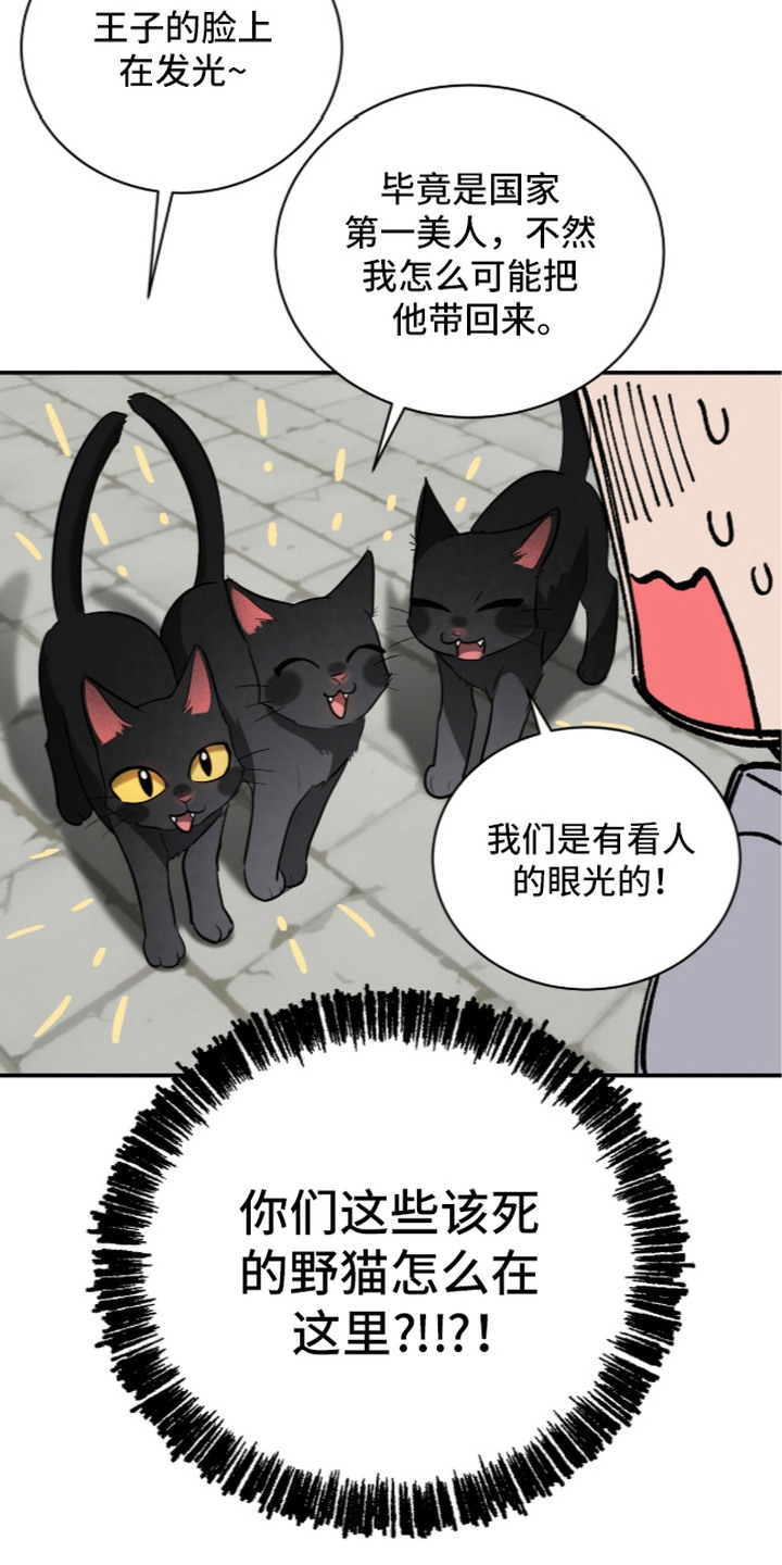 月夜誓言漫画,第14章：唯一选择3图