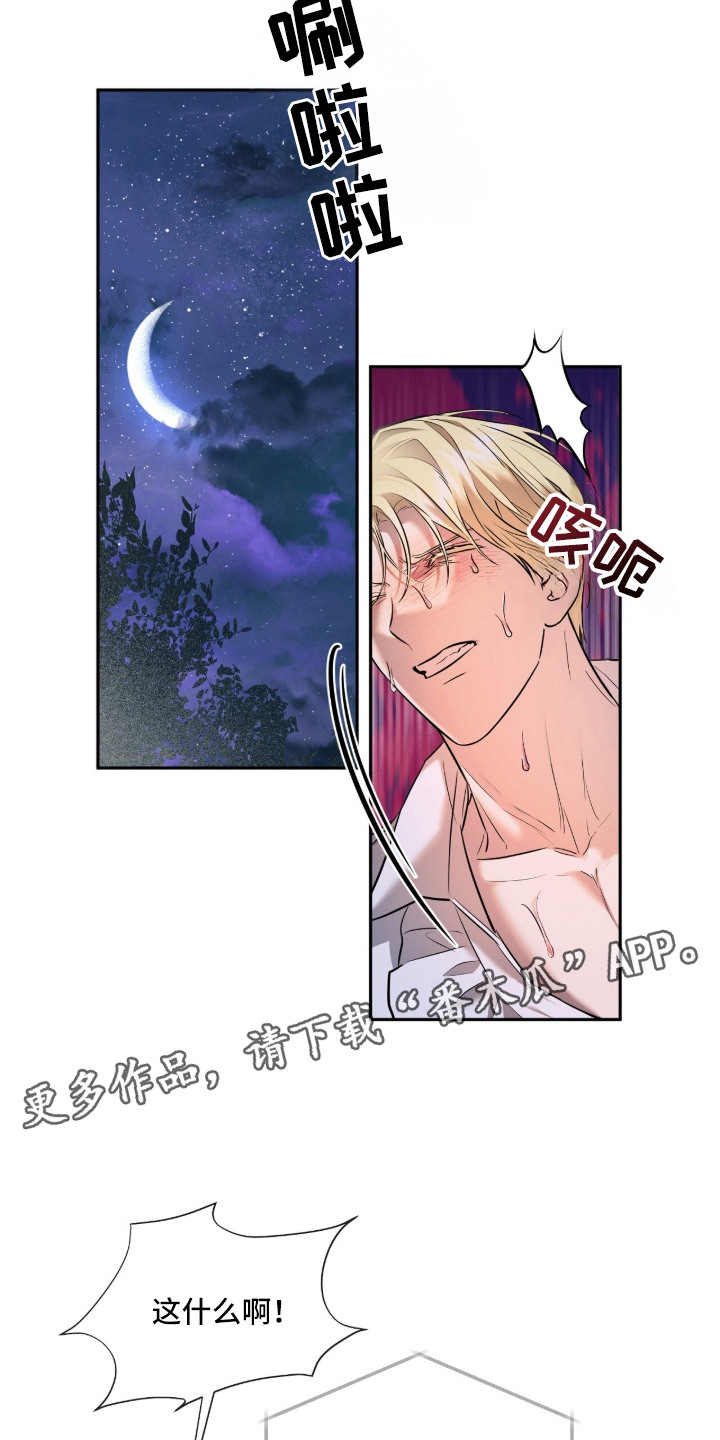 月夜誓言漫画,第2章：第一美人1图