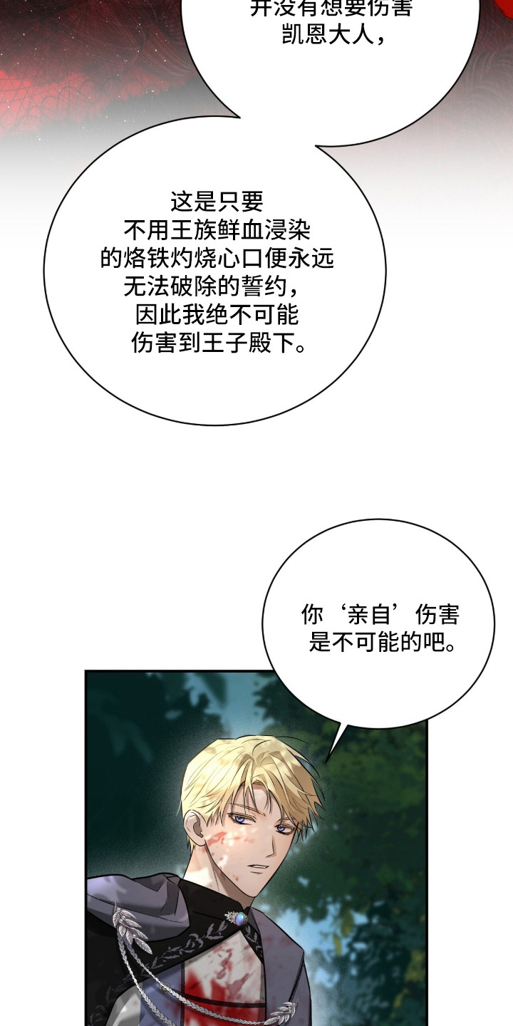 月夜誓言漫画,第17章：疯子魔法师5图
