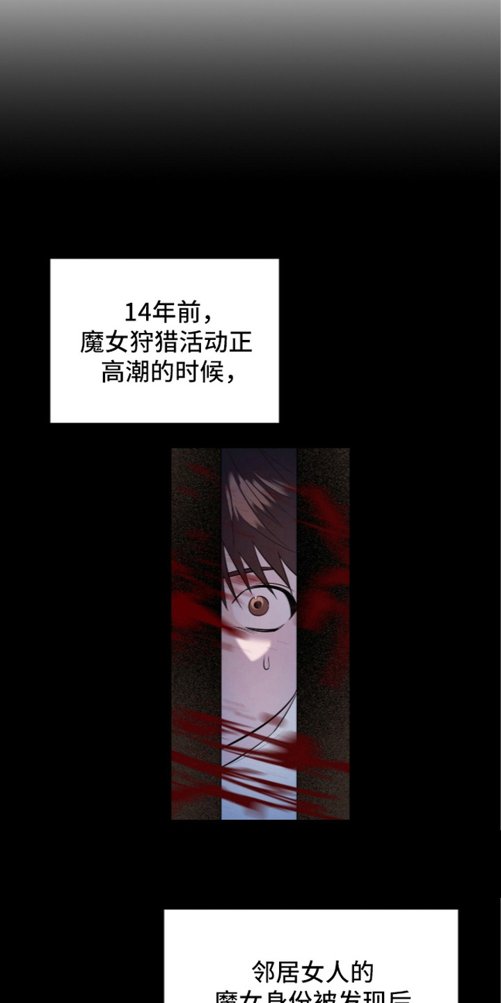 月夜誓言漫画,第12章：母亲2图