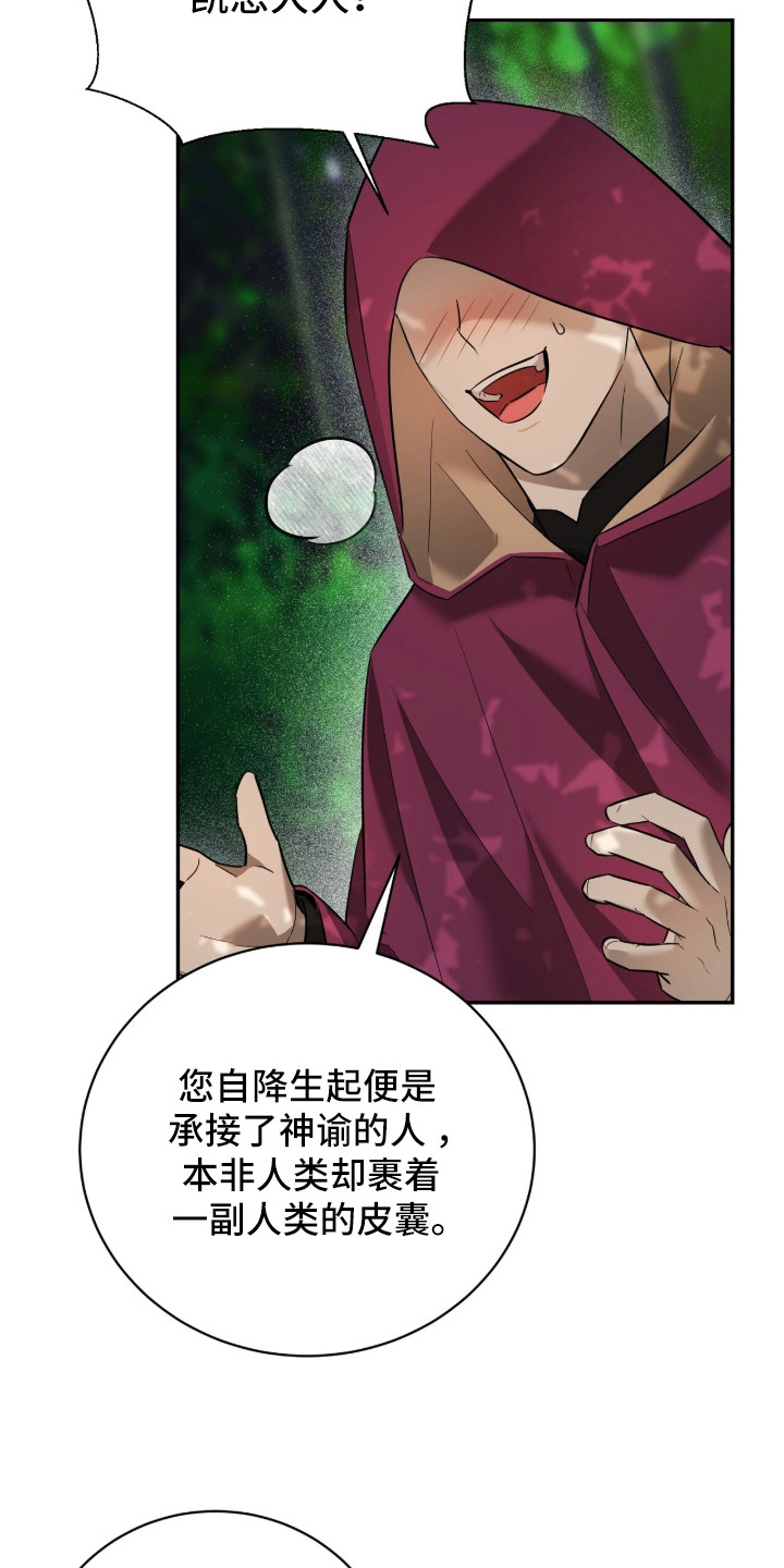 月夜誓言漫画,第17章：疯子魔法师3图