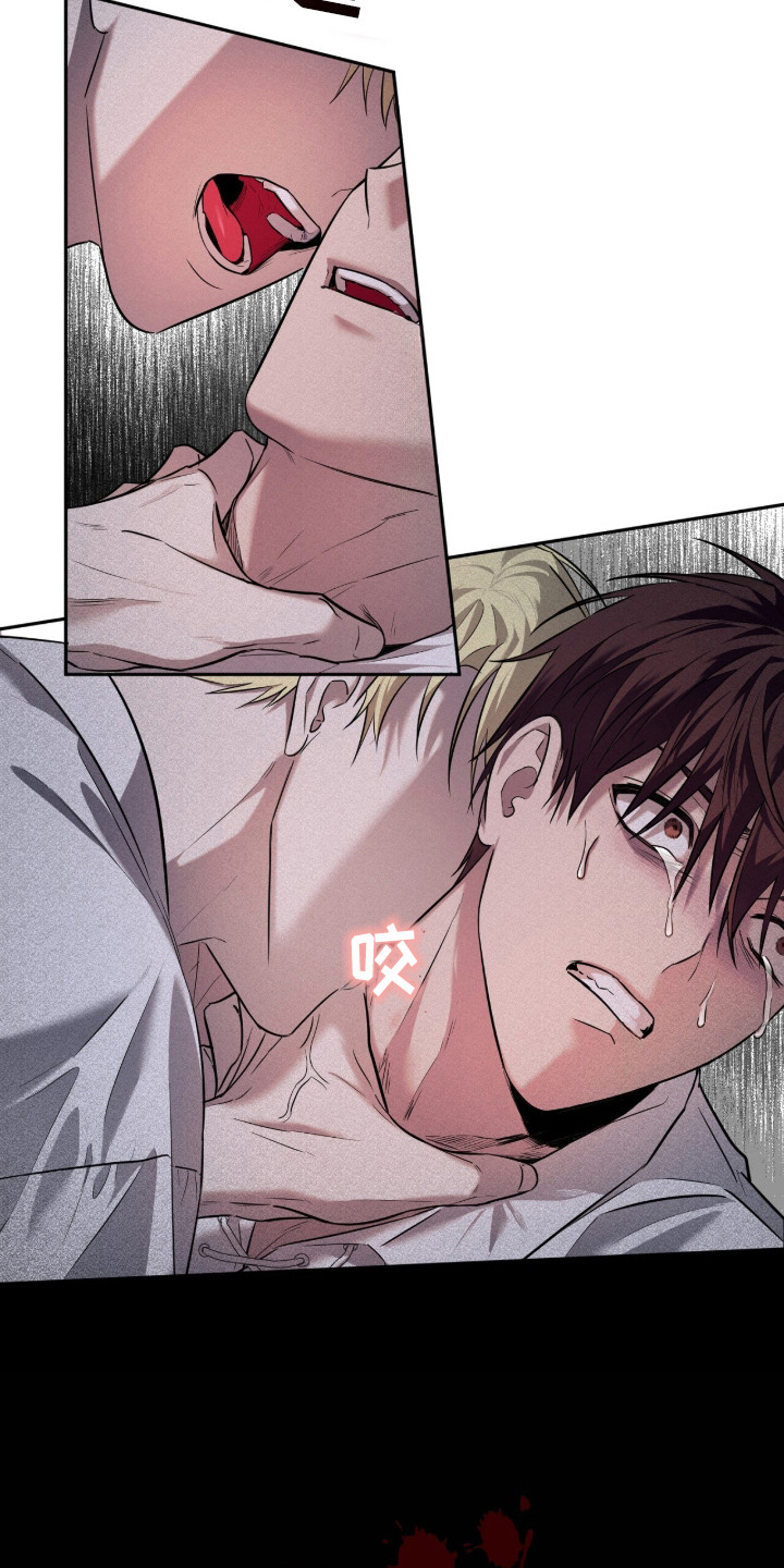 月夜誓言漫画,第2章：第一美人4图