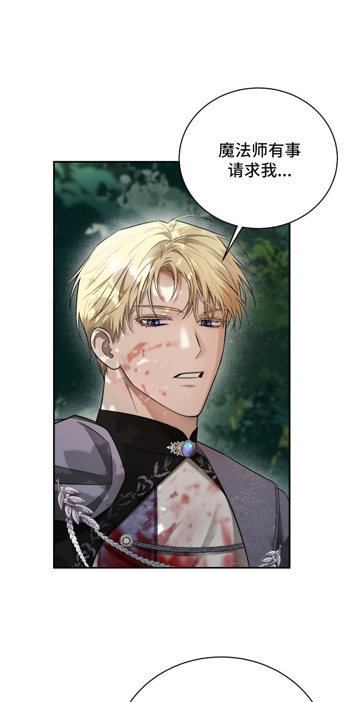 月夜誓言漫画,第17章：疯子魔法师1图