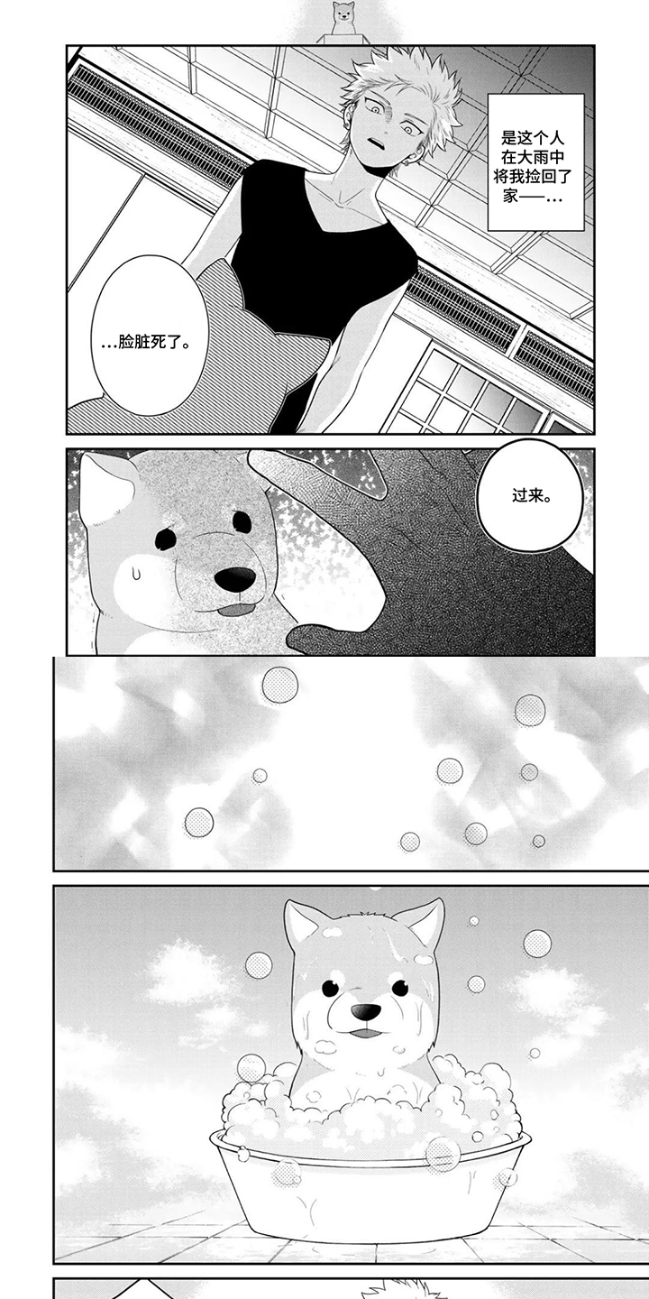 不良与犬漫画,第14章：是什么样的存在4图