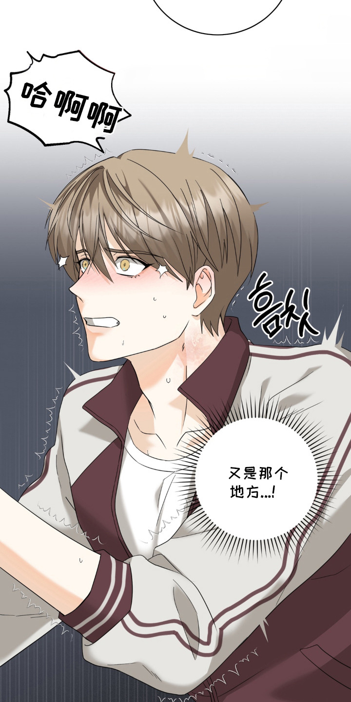 敏感飞驰漫画,第8章：寻找答案5图