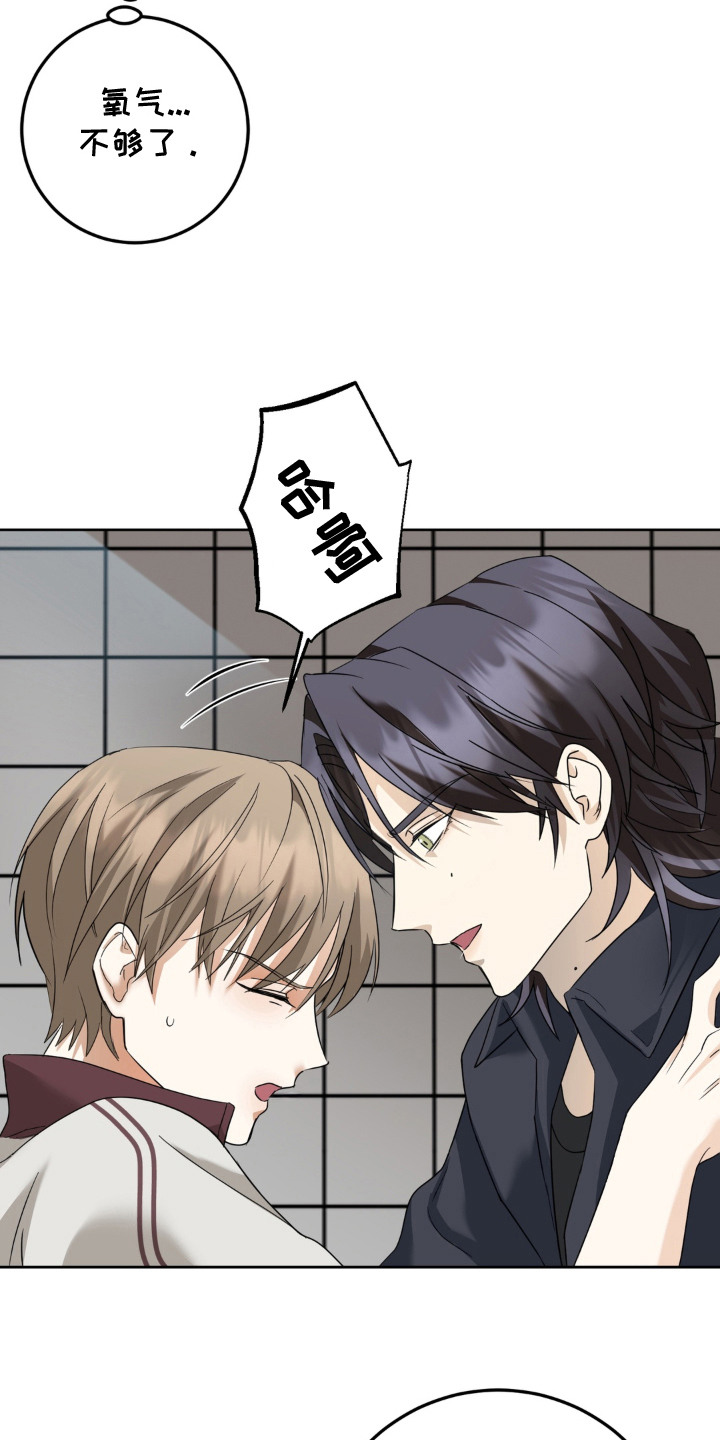 敏感飞驰漫画,第8章：寻找答案4图