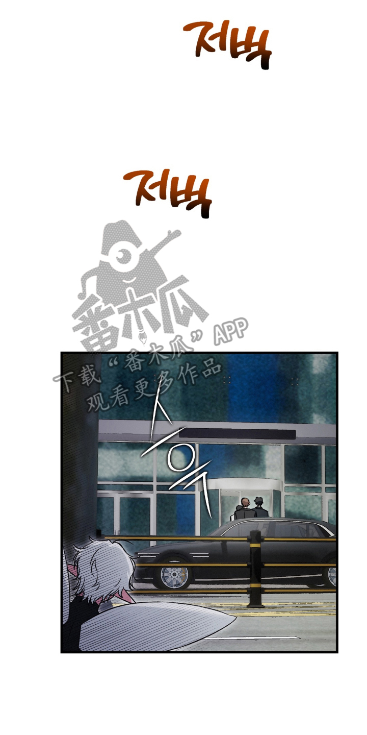 拜托了辣椒精灵漫画,第12章：有地方要去1图