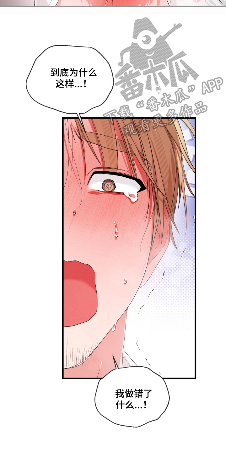 拜托了辣椒精灵漫画,第5章：失控4图