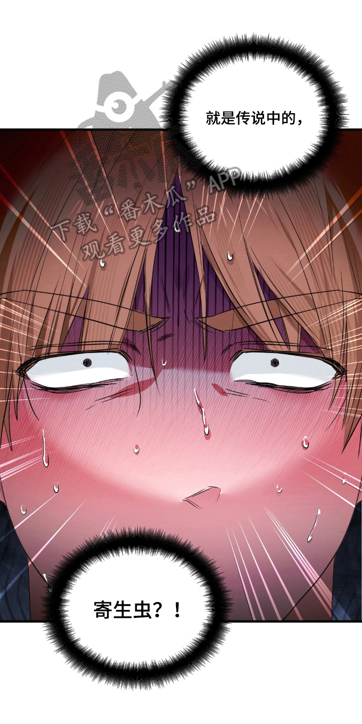 拜托了辣椒精灵漫画,第3章：教学2图