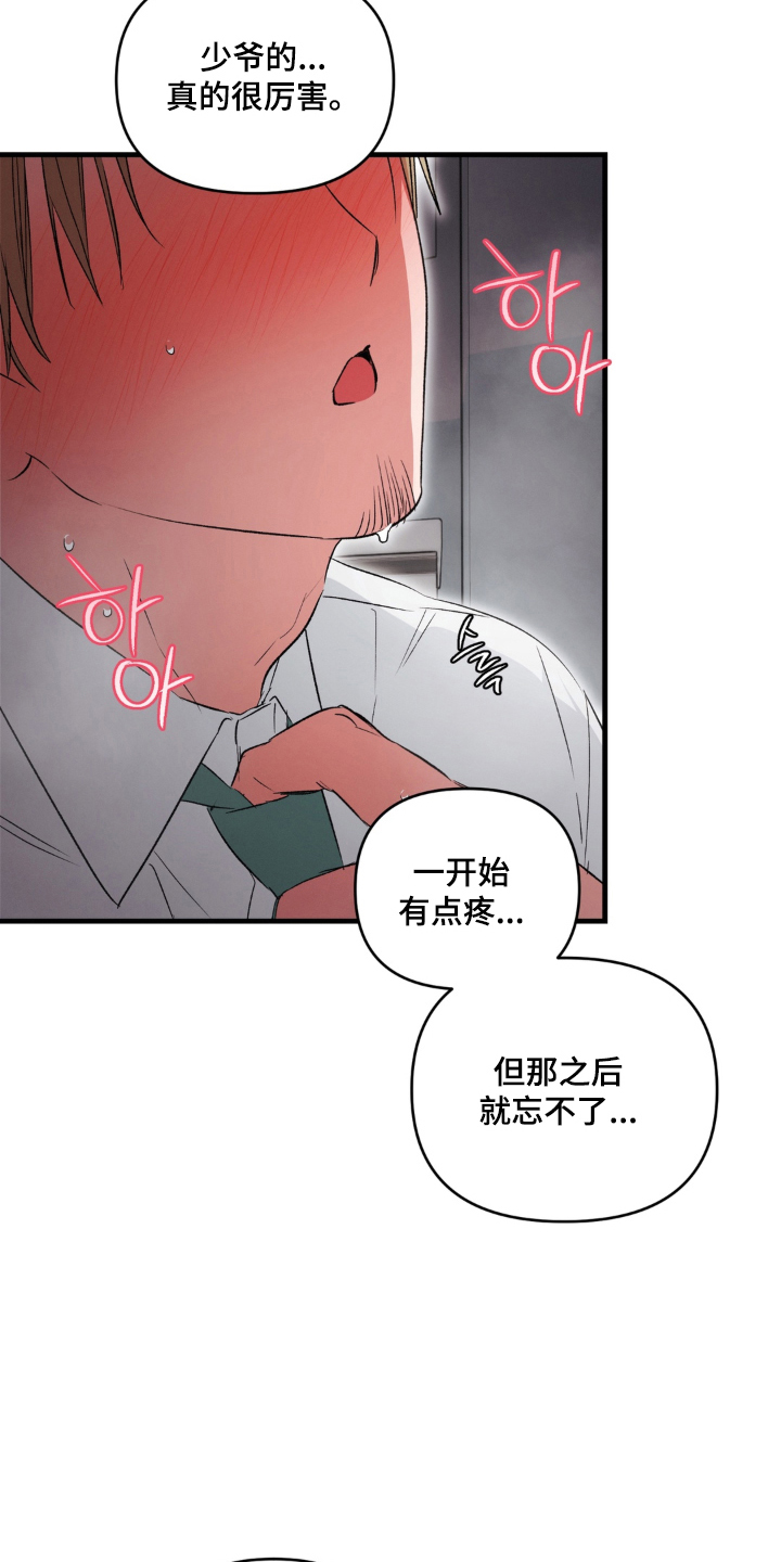 拜托了辣椒精灵漫画,第19章：最后一个礼物2图