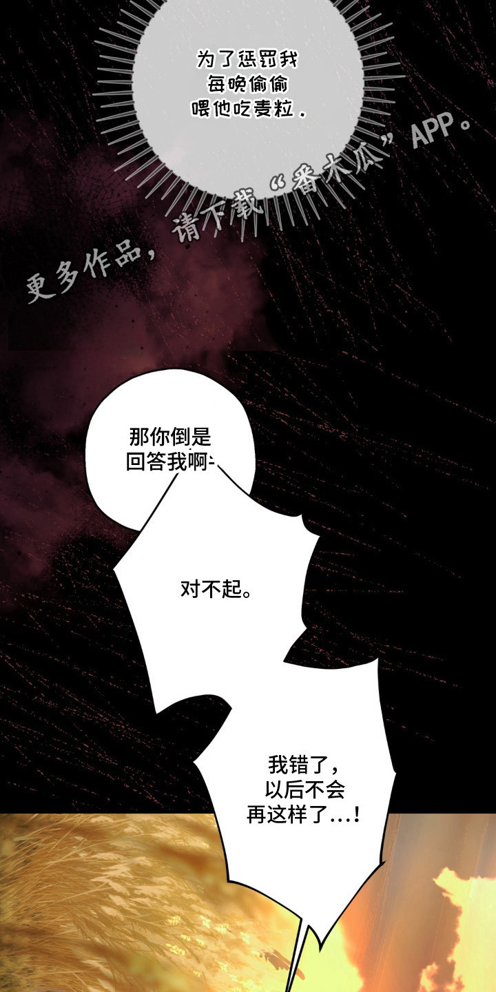 圣洁之罪漫画,第15章：不悦1图