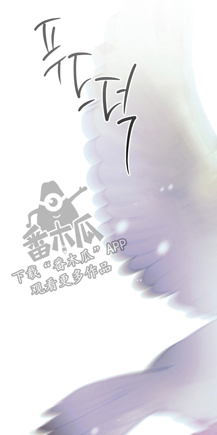 圣洁之罪漫画,第3章：初遇1图