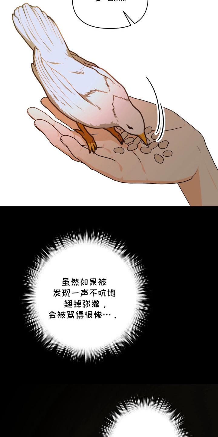 圣洁之罪漫画,第14章：麦田2图