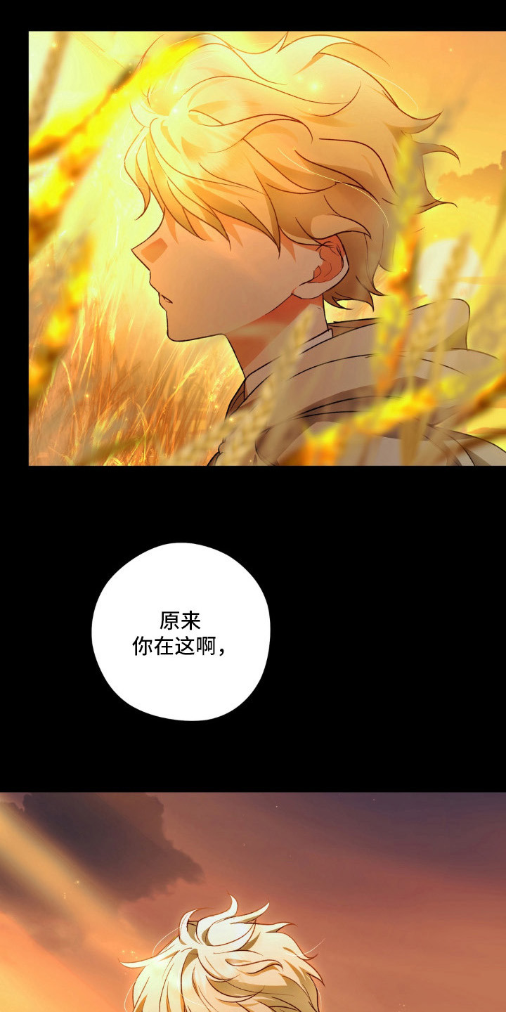 圣洁之罪漫画,第14章：麦田5图