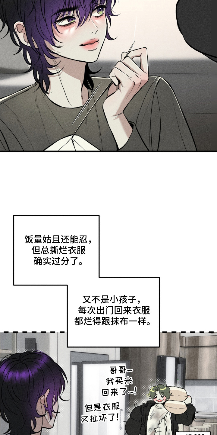 我的爬虫君漫画,第17章：最珍贵之人（完结）5图