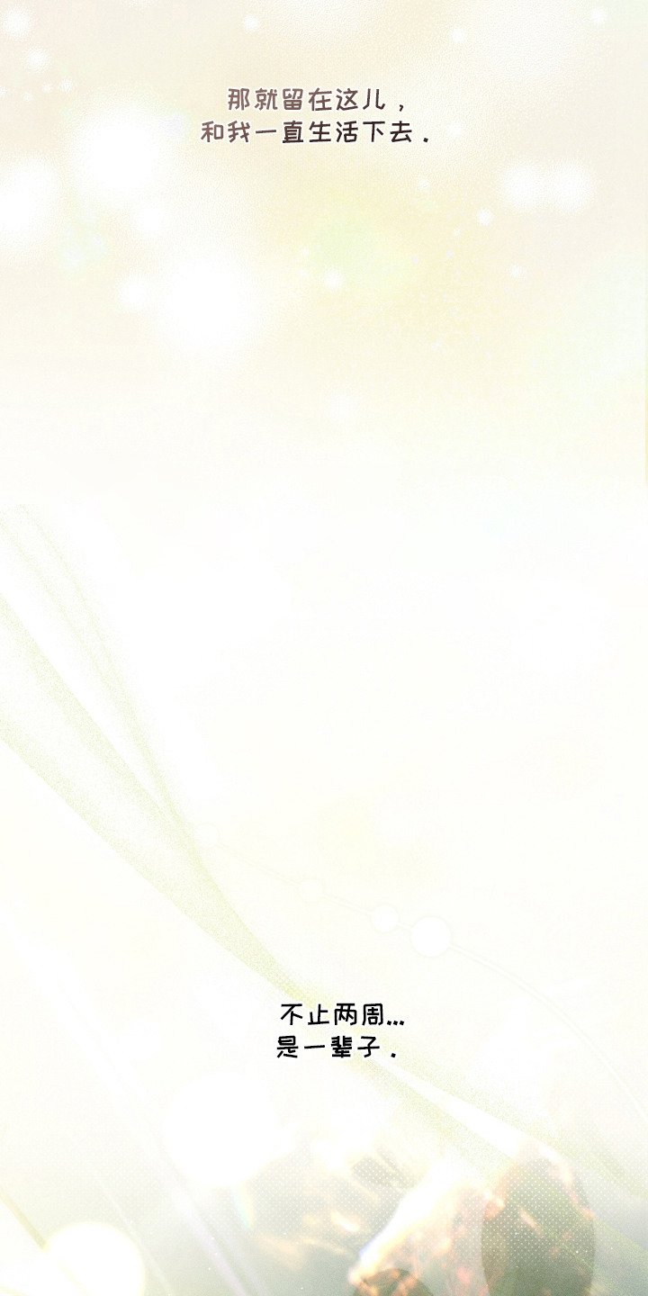 我的爬虫君漫画,第12章：决定收养4图