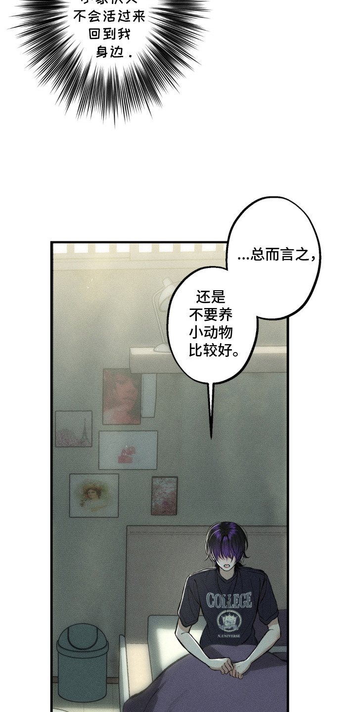 我的爬虫君漫画,第11章：不会离开2图