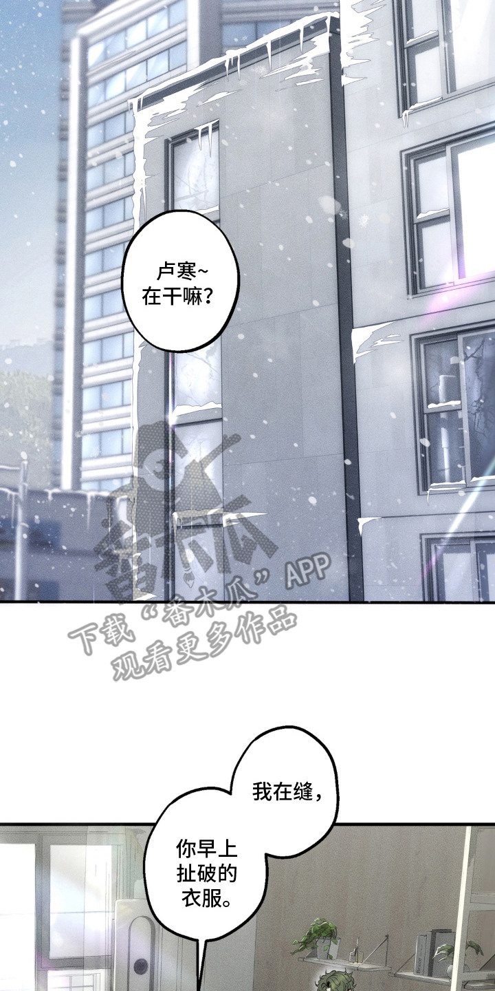 我的爬虫君漫画,第17章：最珍贵之人（完结）2图