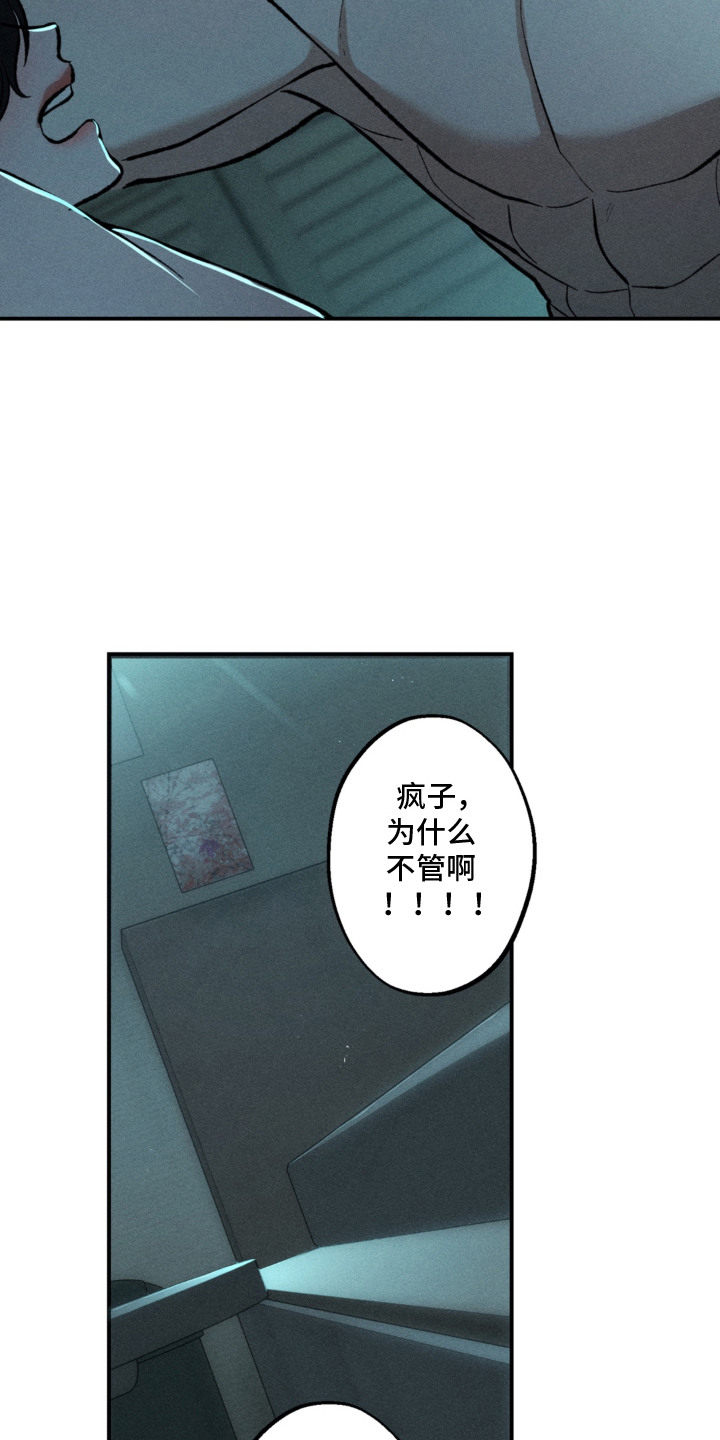 我的爬虫君漫画,第6章：什么都敢说1图