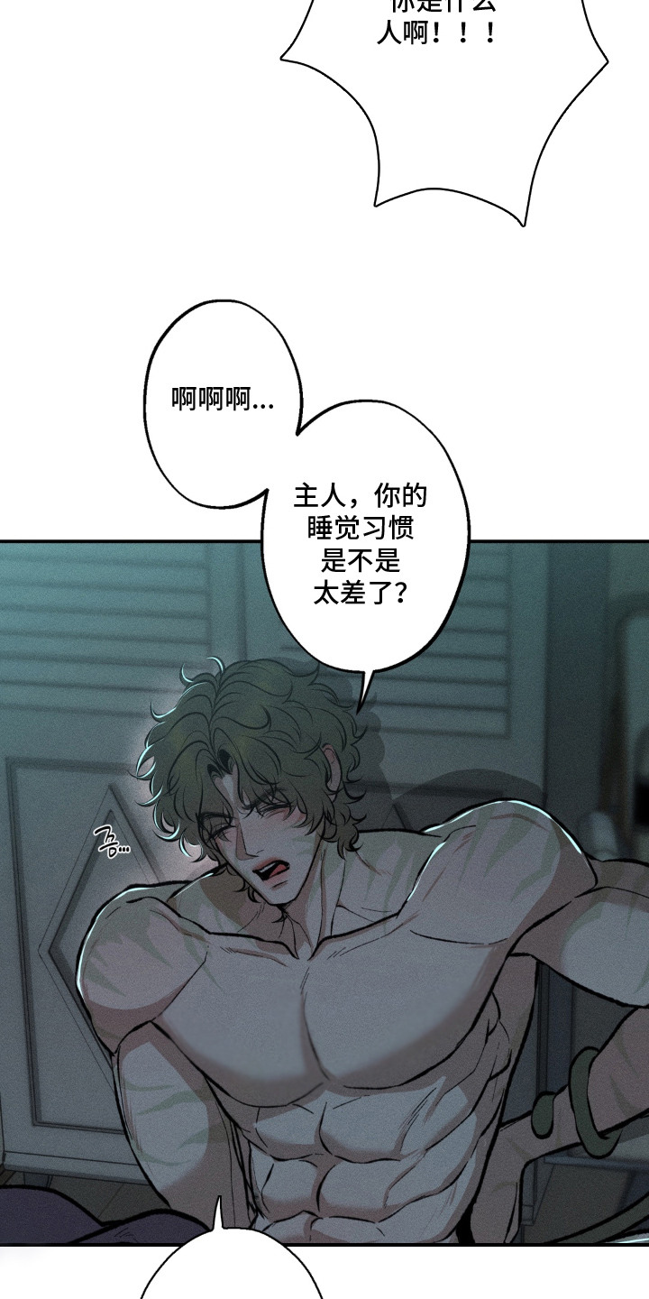 我的爬虫君漫画,第4章：蜜瓜4图