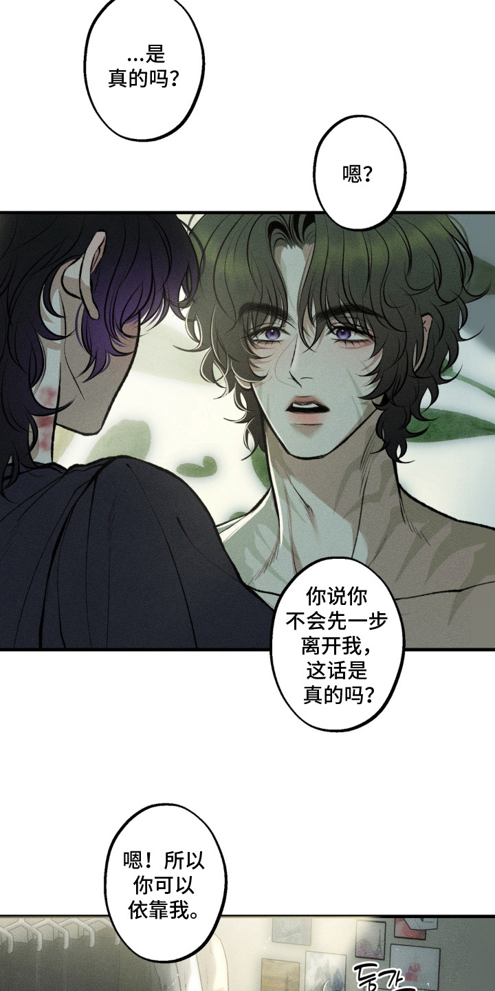 我的爬虫君漫画,第12章：决定收养2图