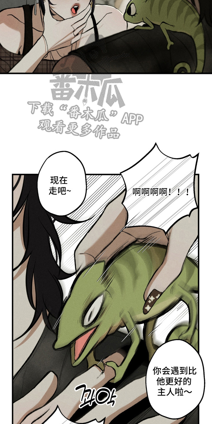 我的爬虫君漫画,第15章：来接它3图