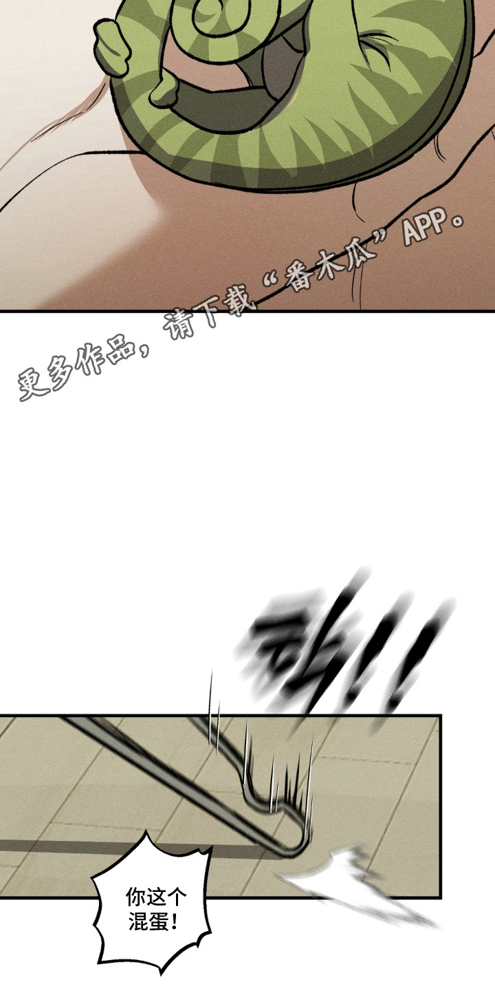 我的爬虫君漫画,第14章：吓一跳4图