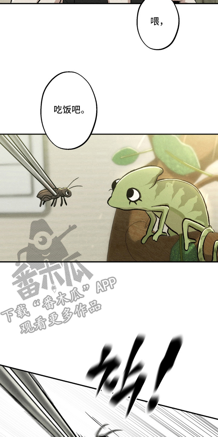 我的爬虫君漫画,第3章：怪梦2图