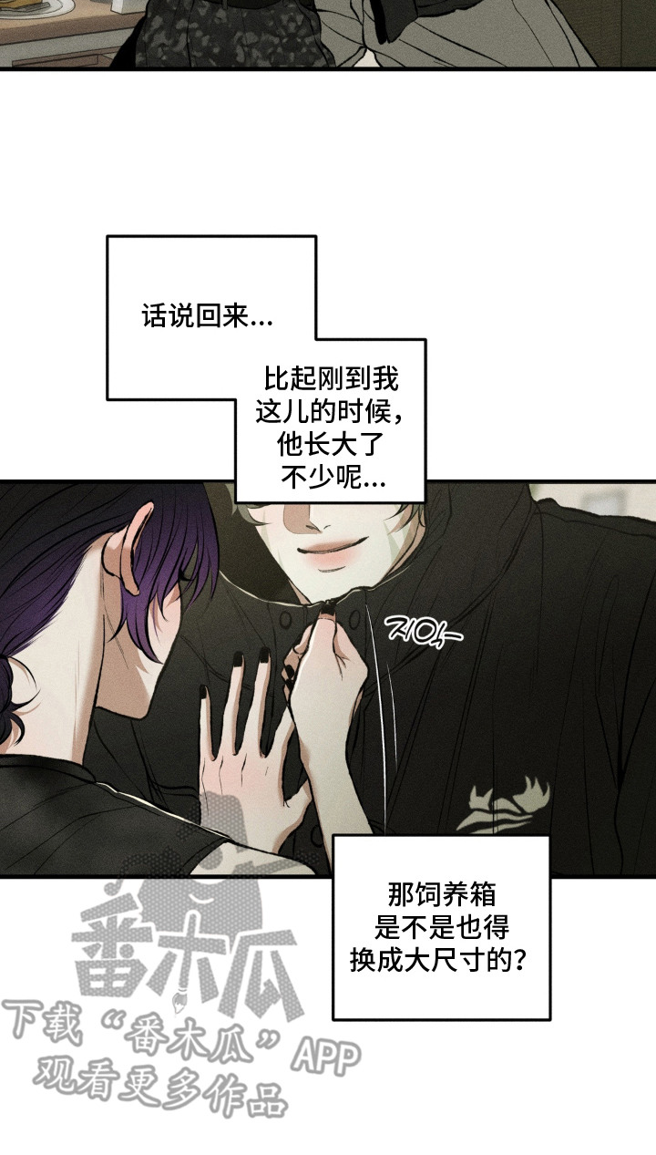 我的爬虫君漫画,第14章：吓一跳2图