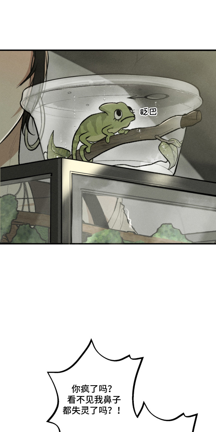 我的爬虫君漫画,第2章：求助2图